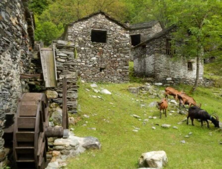 Casa Matilde Home Restaurant Hotel Curiglia Екстериор снимка
